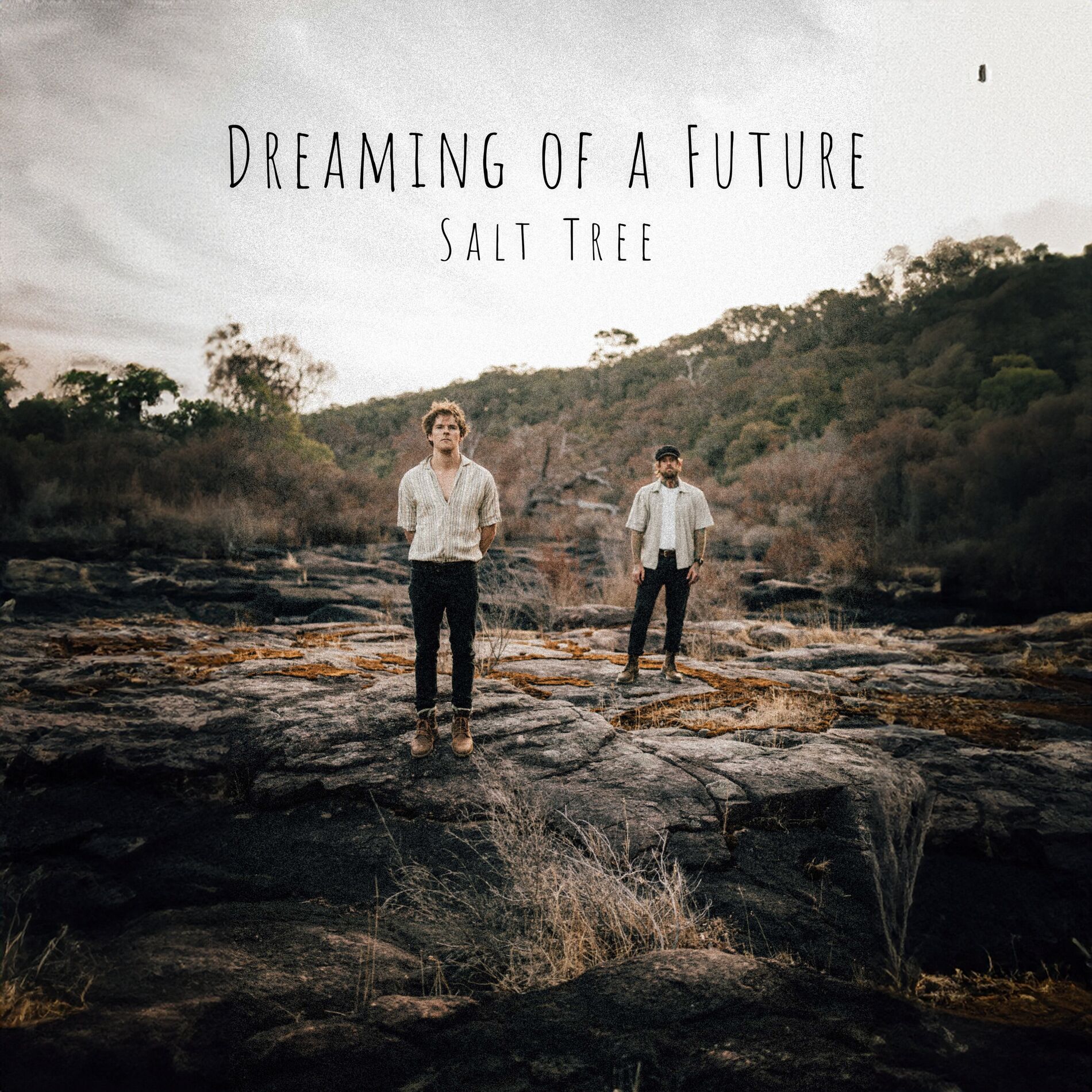 Album cover of Dreaming of a Future