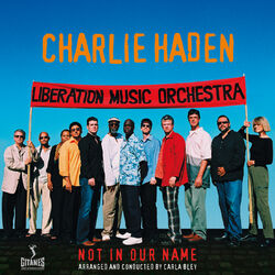 Cover of Not In Our Name
