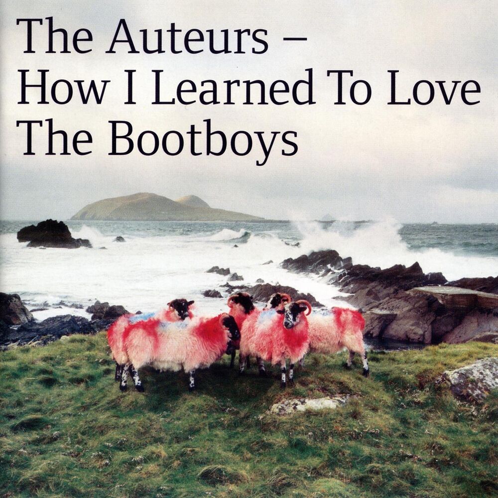 Picture of How I Learned To Love The Bootboys