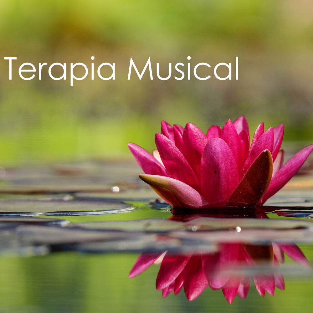 Picture of Terapia Musical - Música de Fundo com Sons da Natureza, Músicas Instrumentais Calmantes