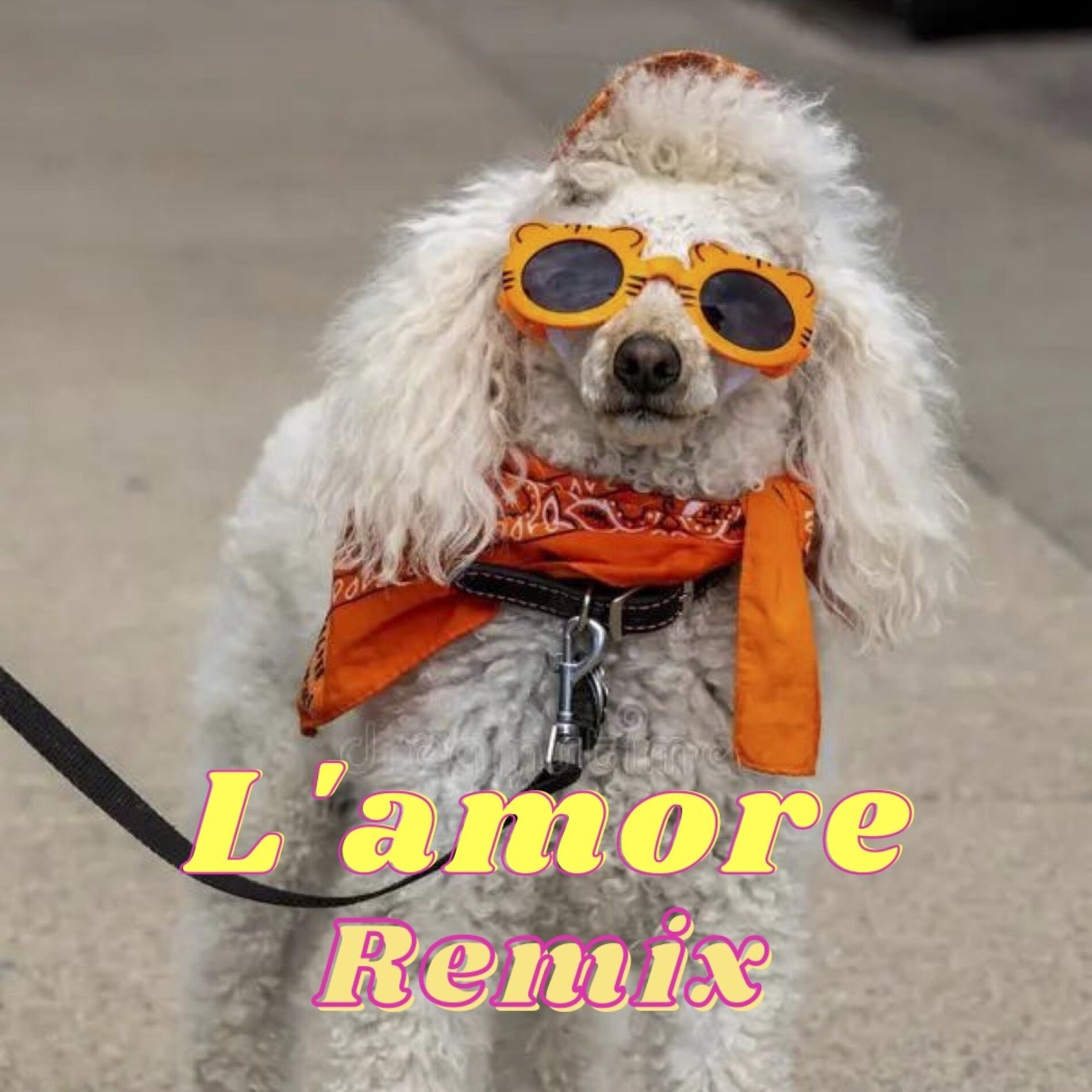 Album cover of L'amore (Remix)