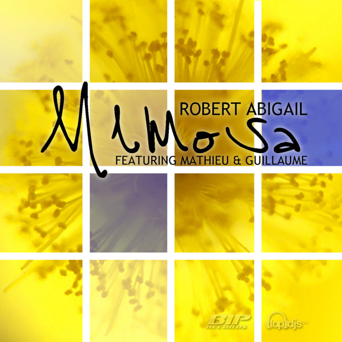 Album cover of Mimosa