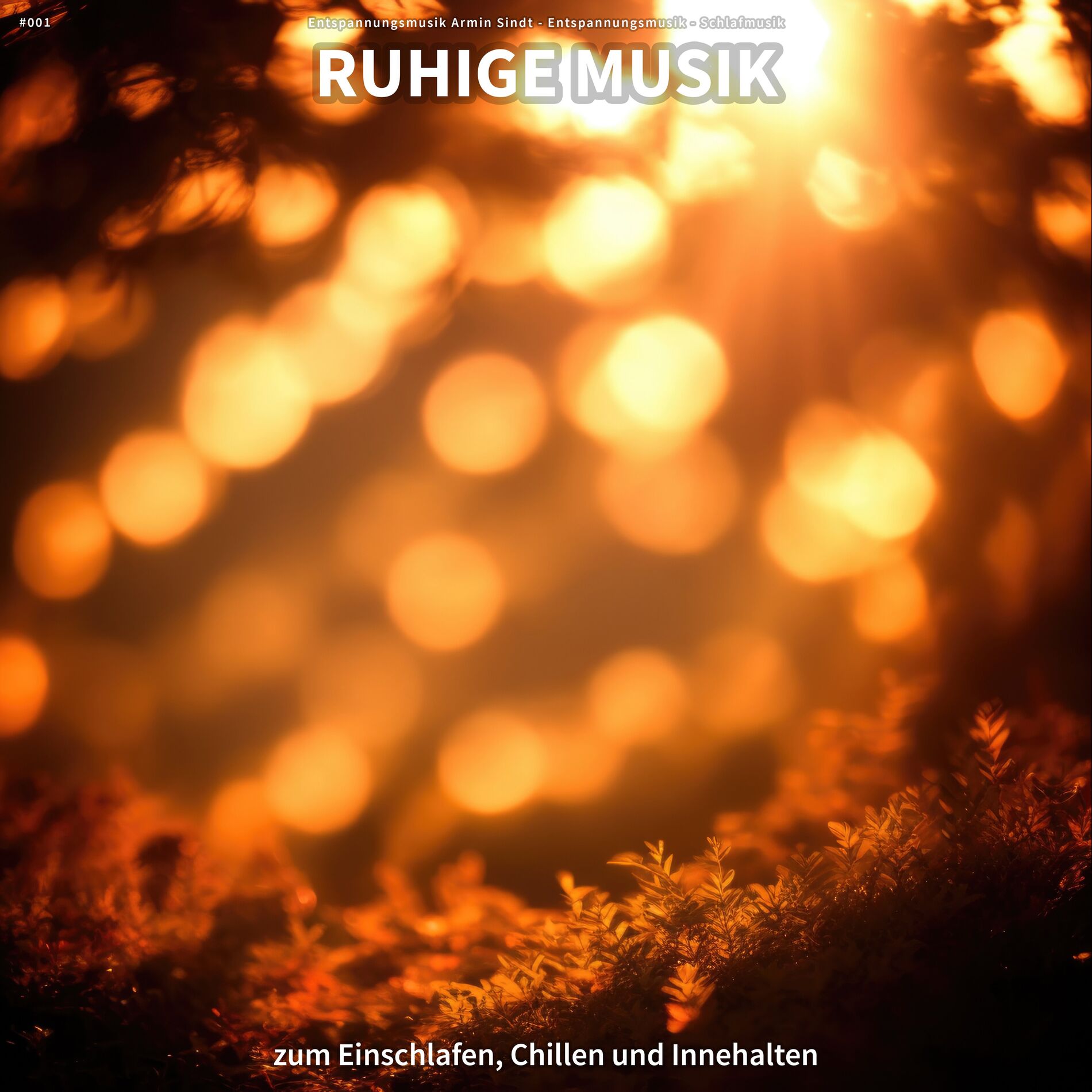 Album cover of #001 Ruhige Musik zum Einschlafen, Chillen und Innehalten