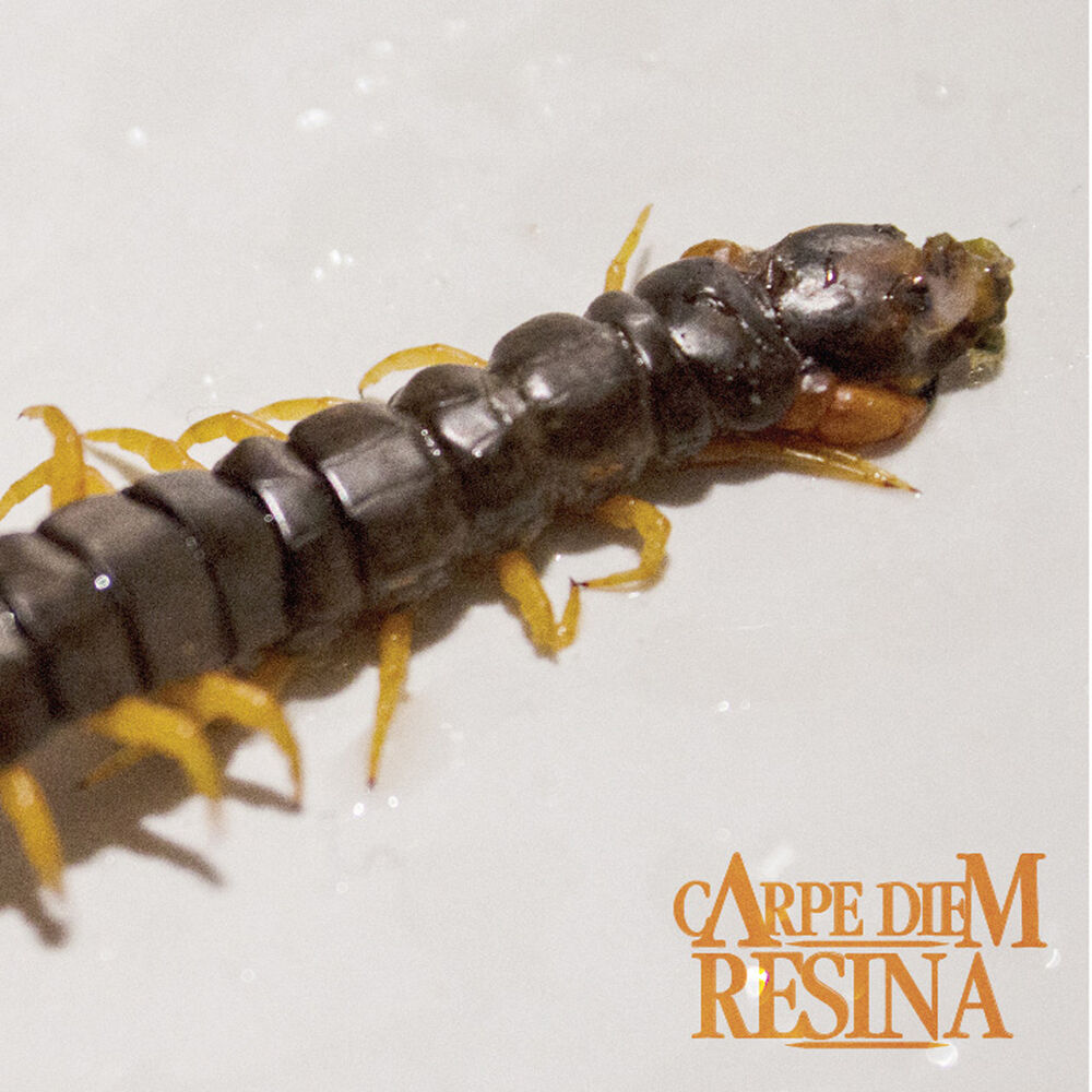 Picture of Resina