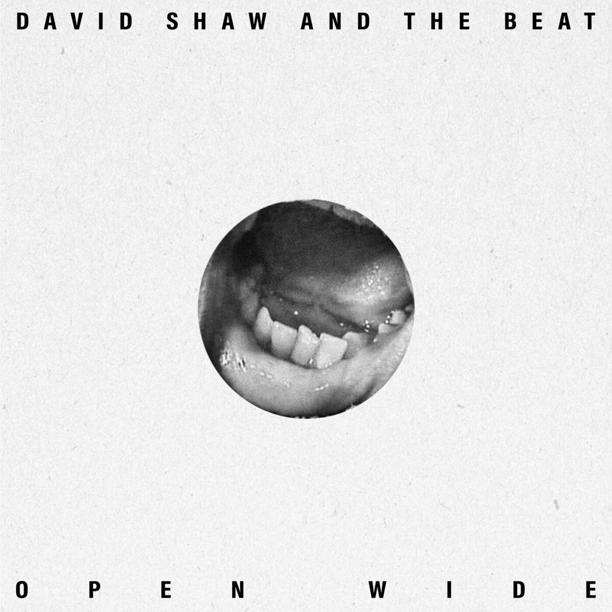 Album cover of Open Wide