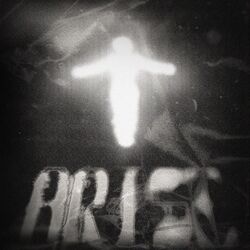 Cover of ARISE