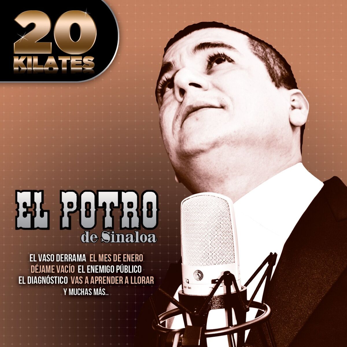 Album cover of 20 Kilates