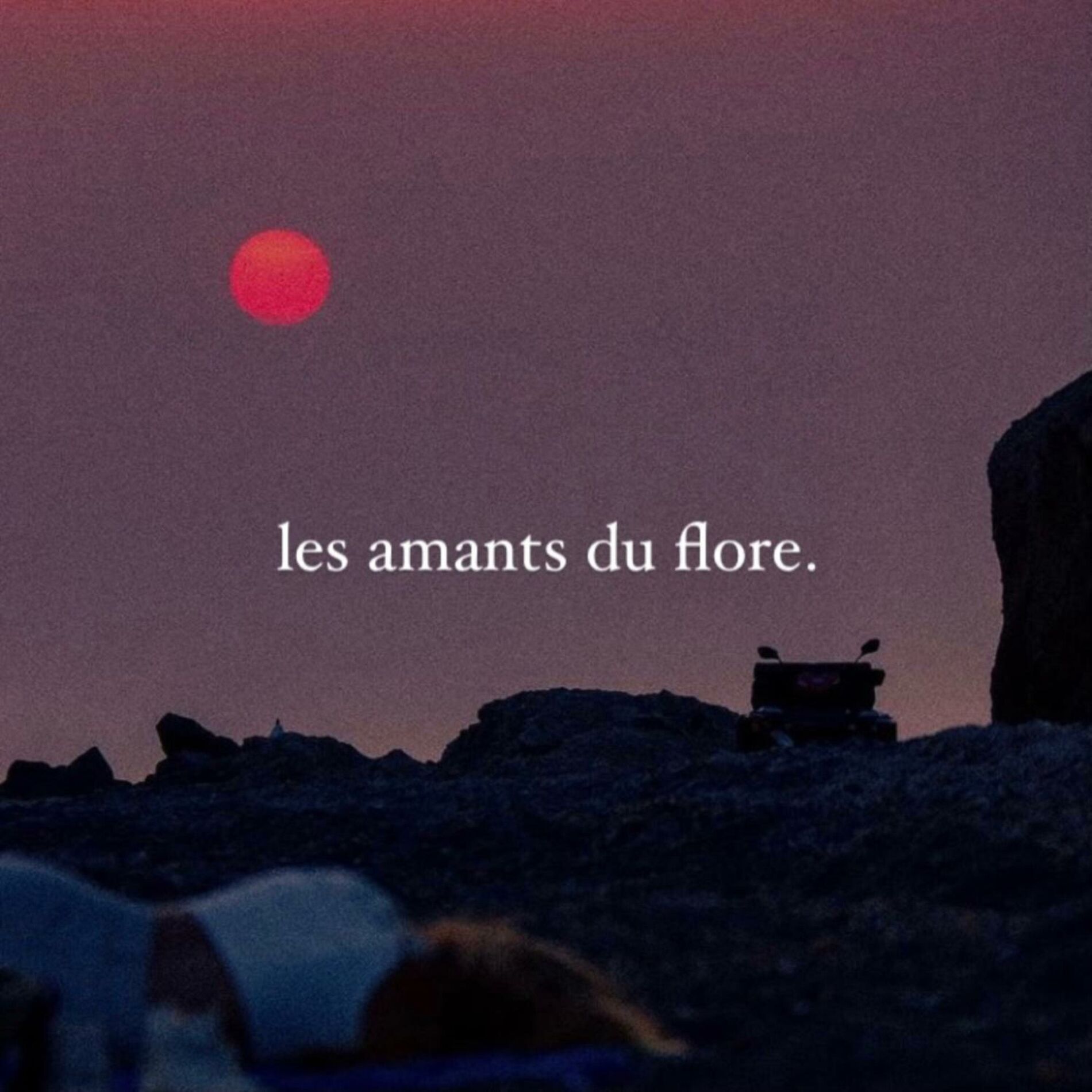 Album cover of les amants du flore