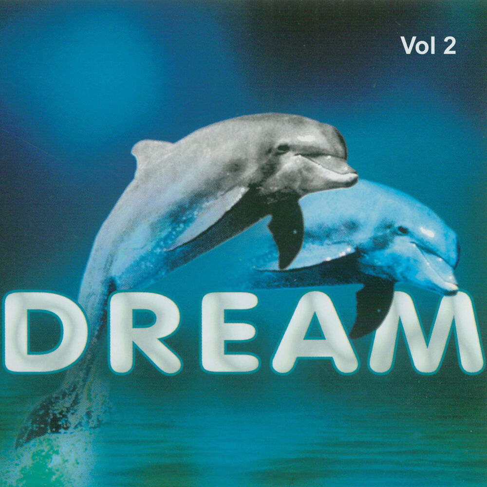Picture of Dream, Vol. 2