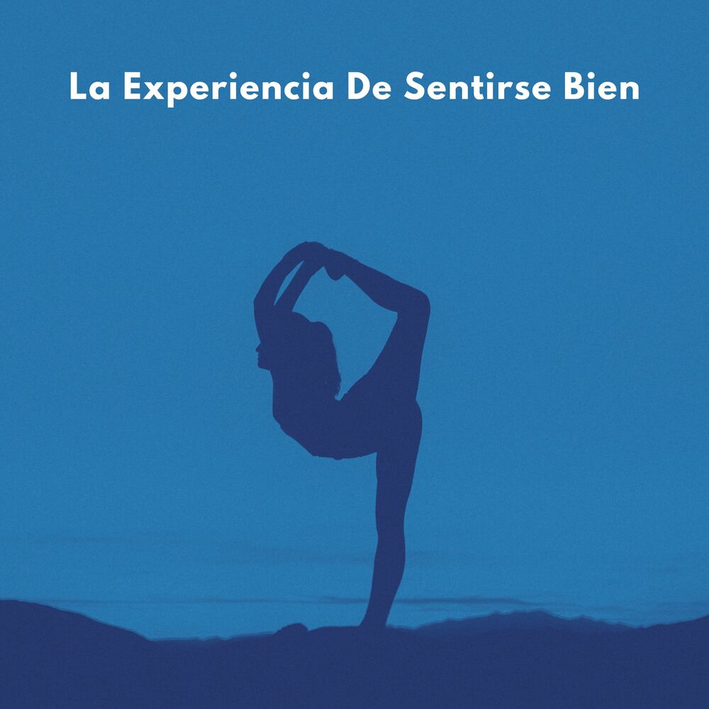 Picture of La Experiencia De Sentirse Bien