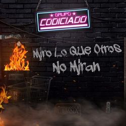 Cover of Miro Lo Que Otros No Miran