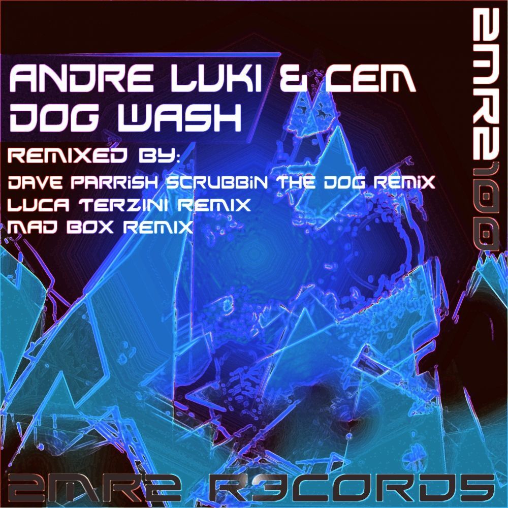 Picture of Dog Wash