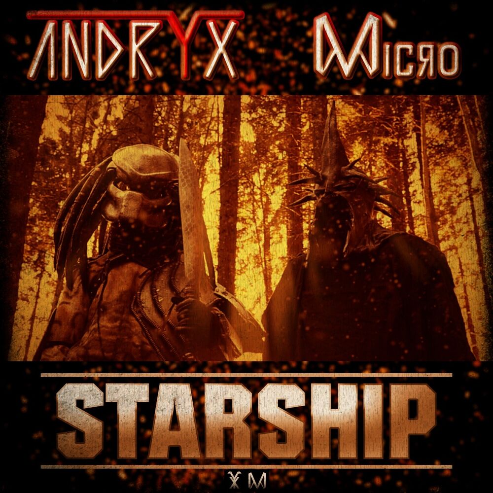 Picture of Starship