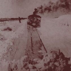 Cover of Out Into The Snow