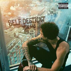 Cover of Self Destruct