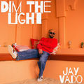 Dim The Light