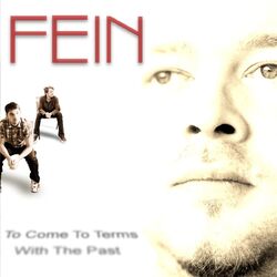 Cover of To Come To Terms With The Past