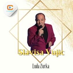 Cover of Luda Zurka