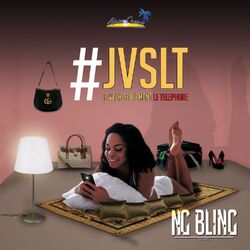 Cover of JVSLT (Je veux seulement le téléphone)
