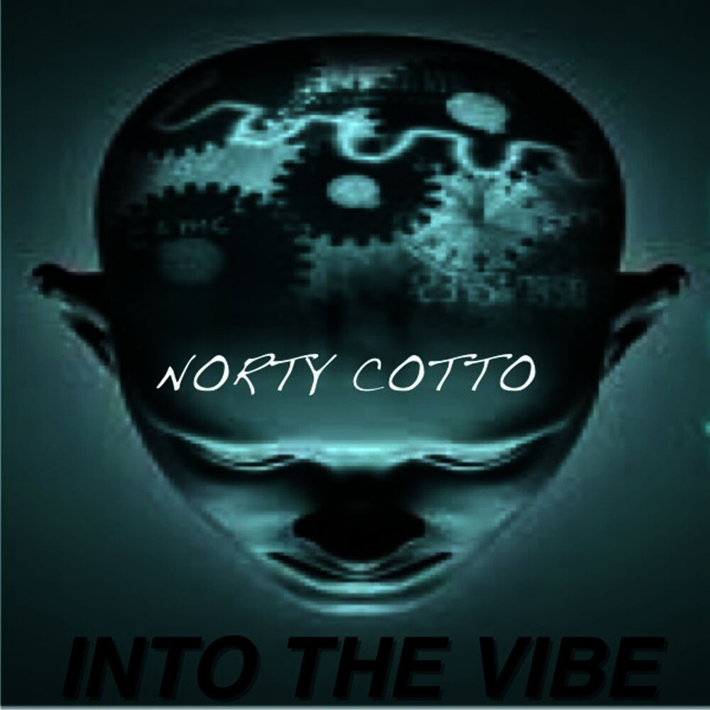Picture of Into The Vibe