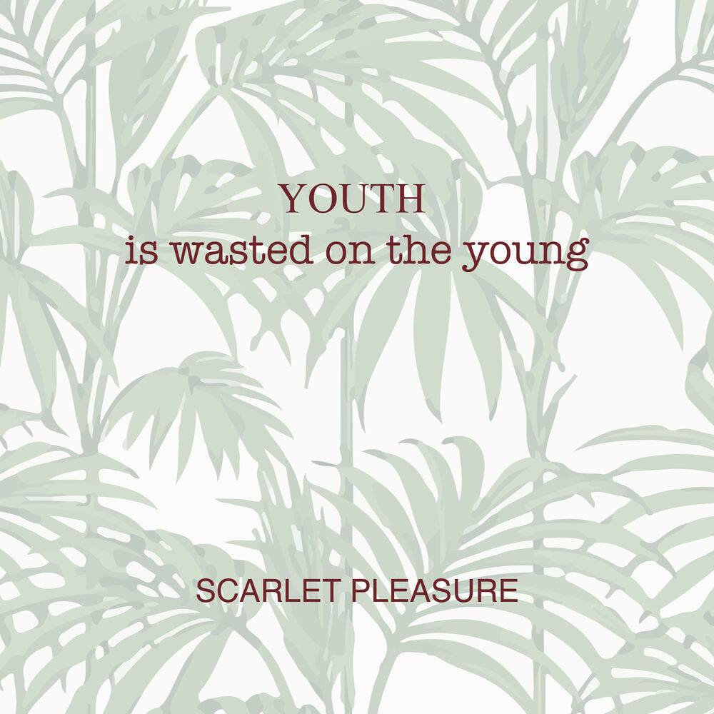 Picture of Youth Is Wasted On The Young