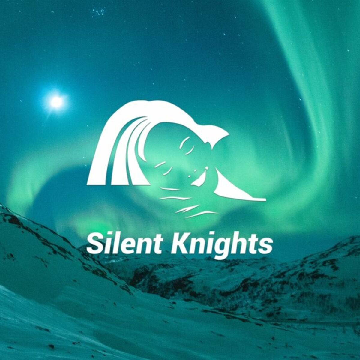 Album cover of Calming Sleep Music
