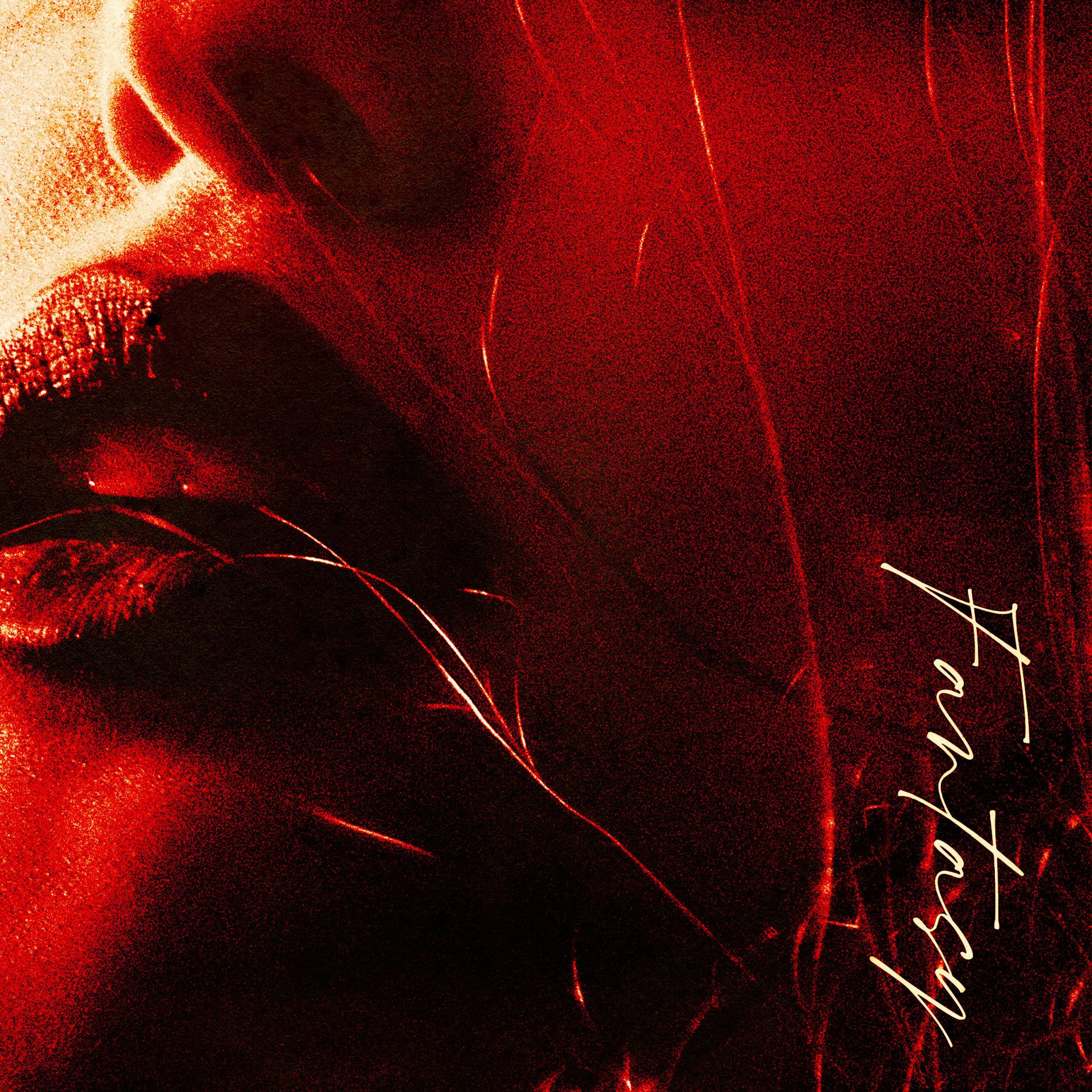 Album cover of Fantasy