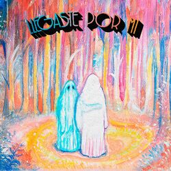 Cover of Llegaste por Mi