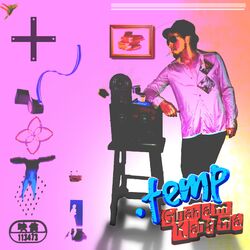Cover of .Temp
