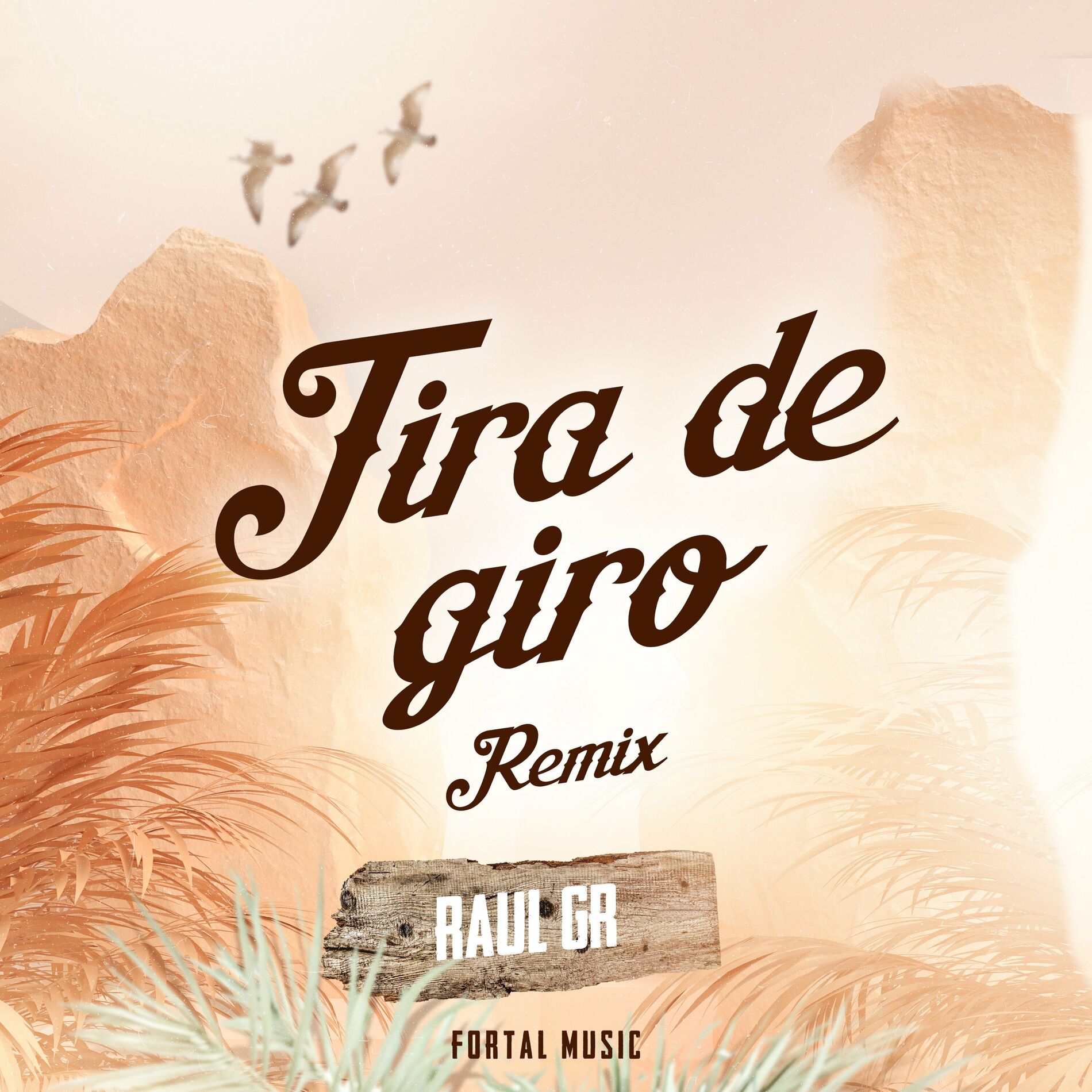 Album cover of Tira de Giro (Remix)