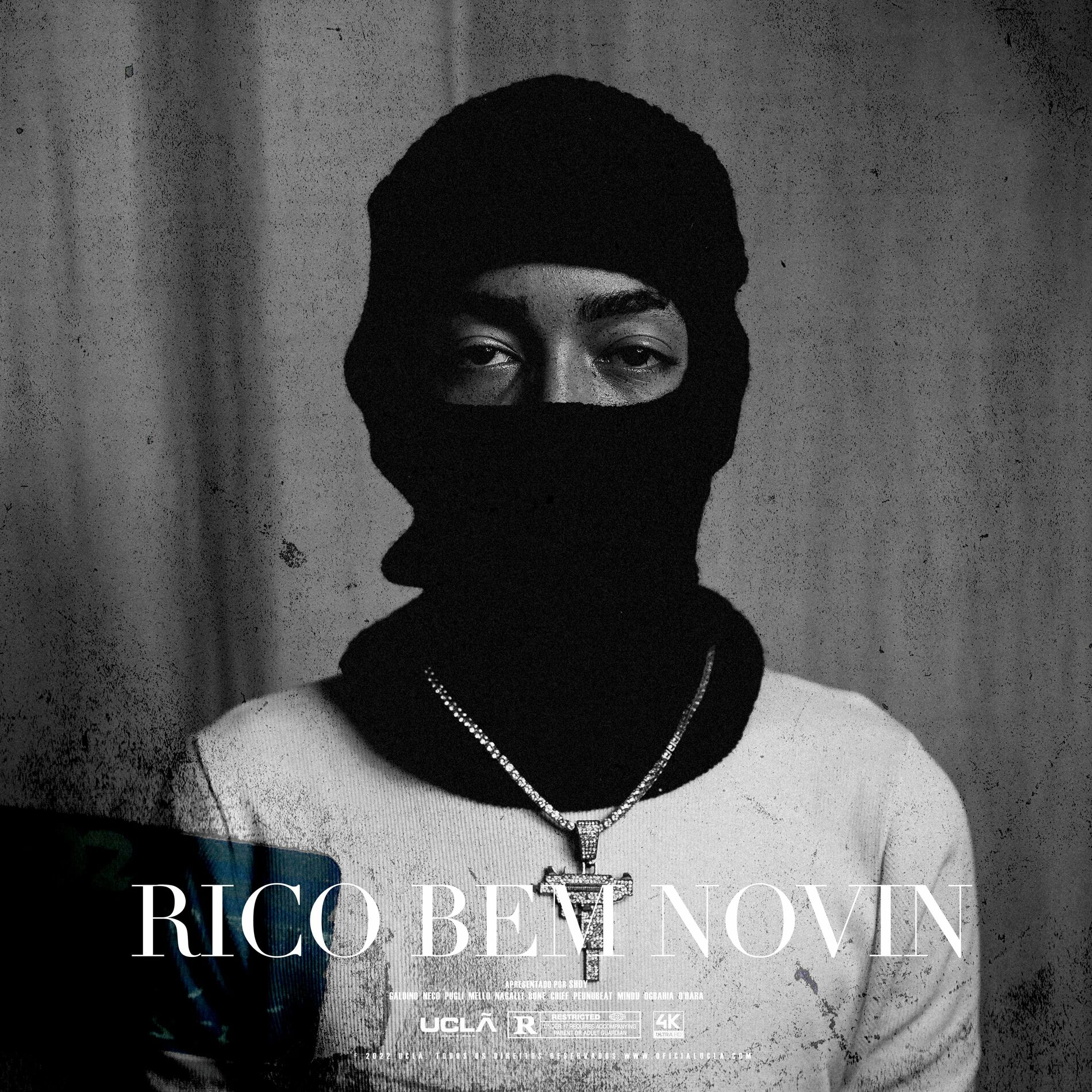 Album cover of Rico Bem Novin