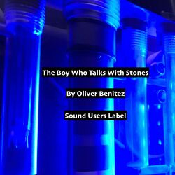 Cover of The Boy Who Talks With Stones