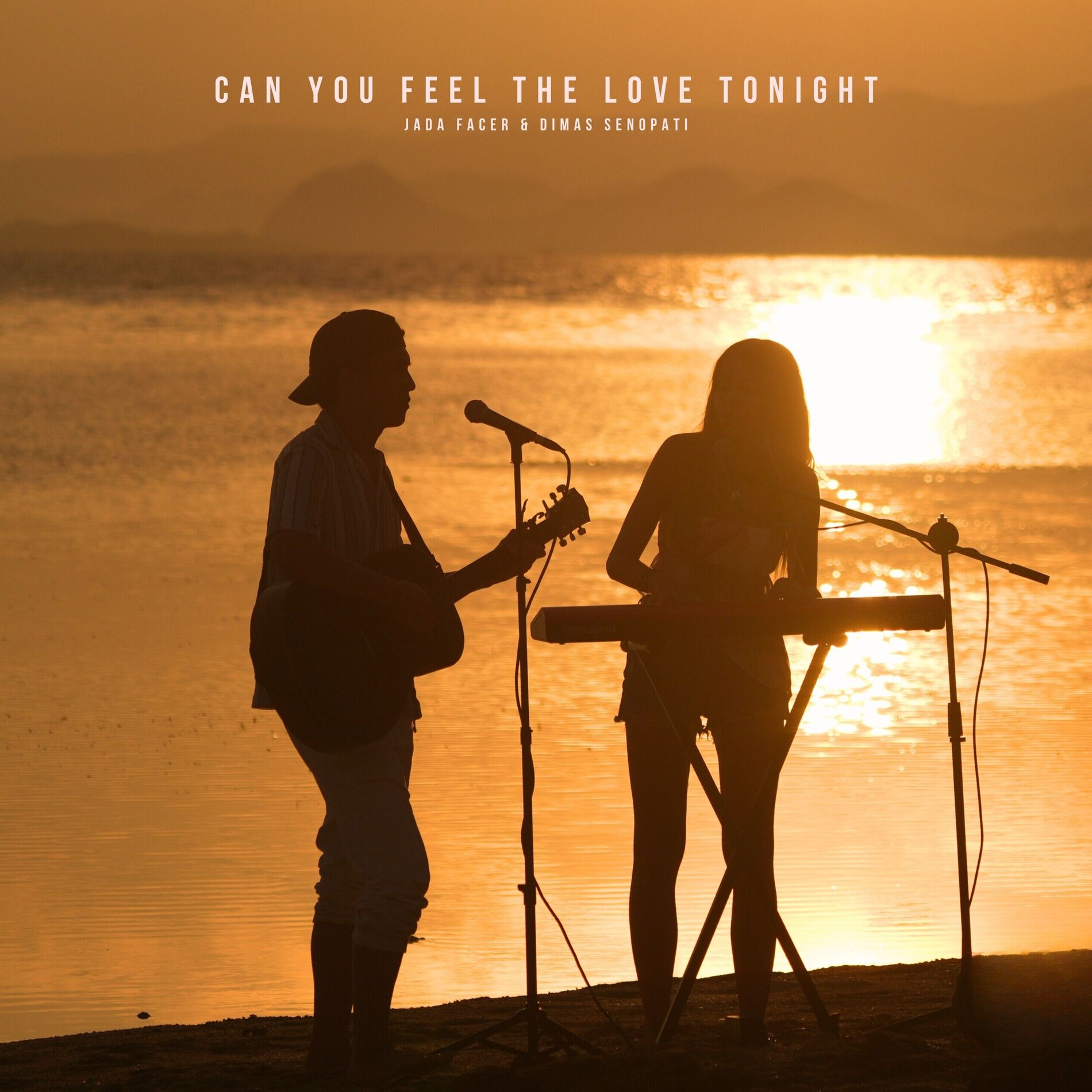 Album cover of Can You Feel The Love Tonight