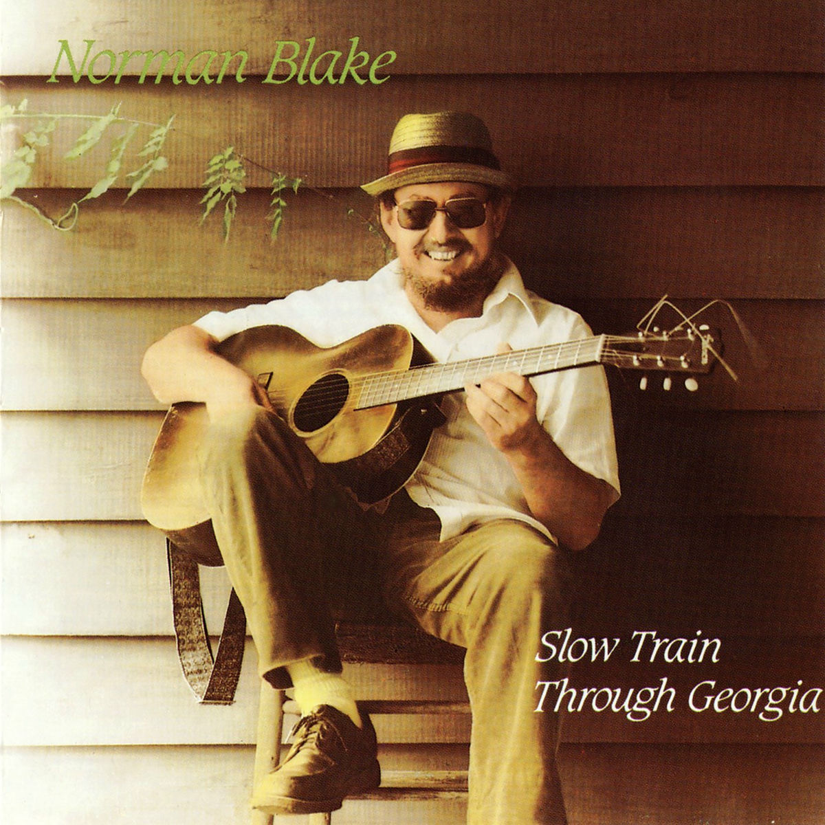 Album cover of Slow Train Through Georgia