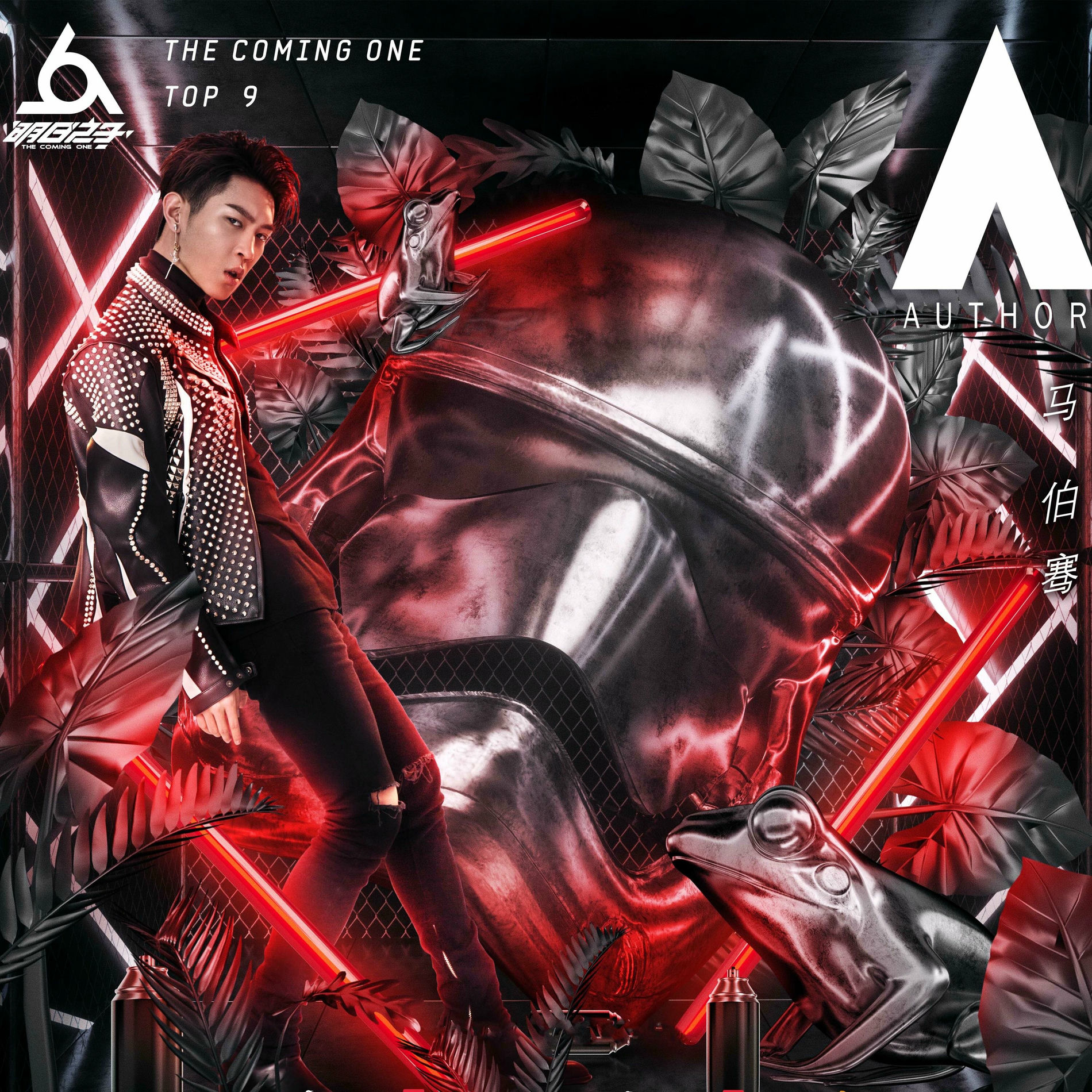 Album cover of Author (Live)