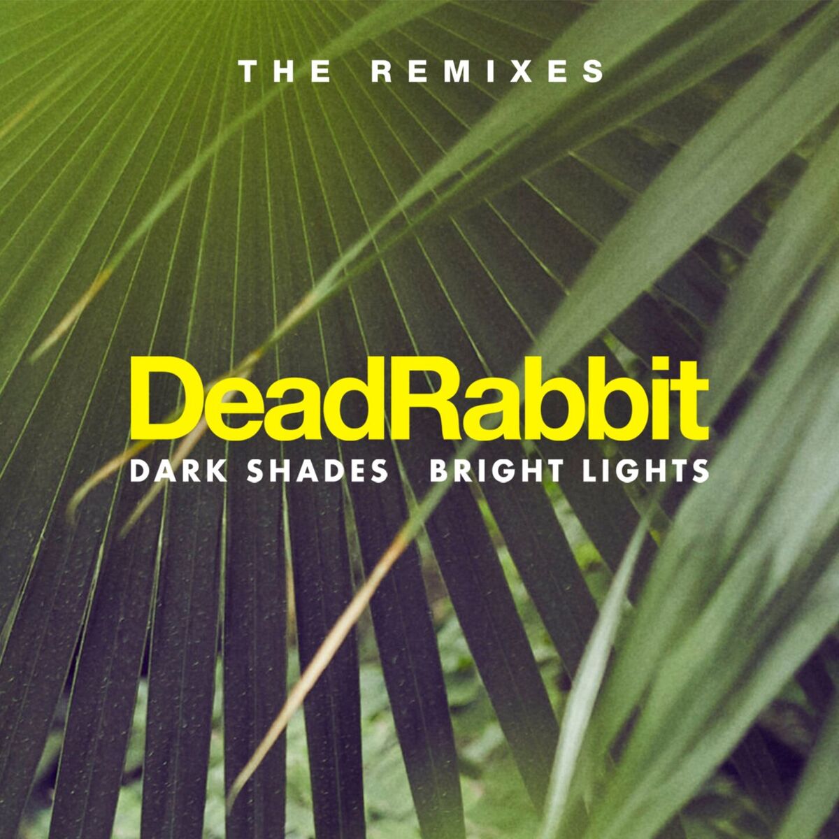 Album cover of Dark Shades / Bright Lights (The Remixes)