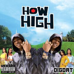 Cover of How High