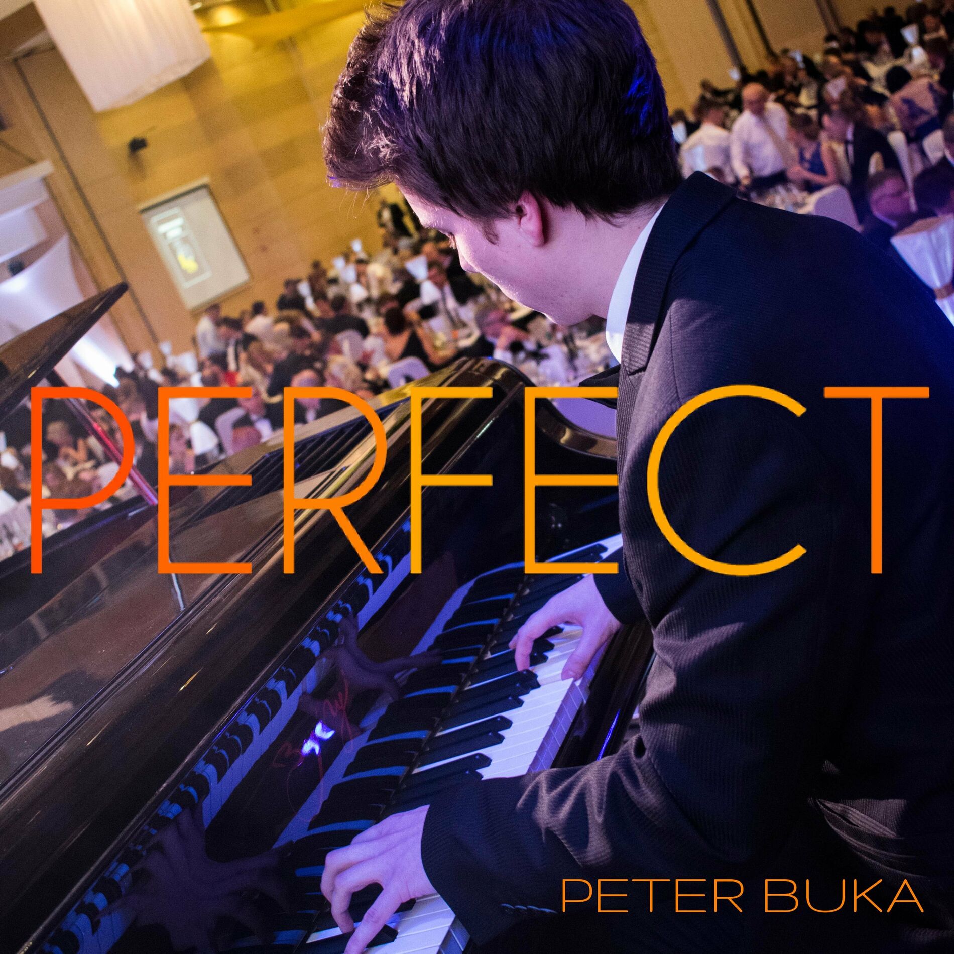 Album cover of Perfect