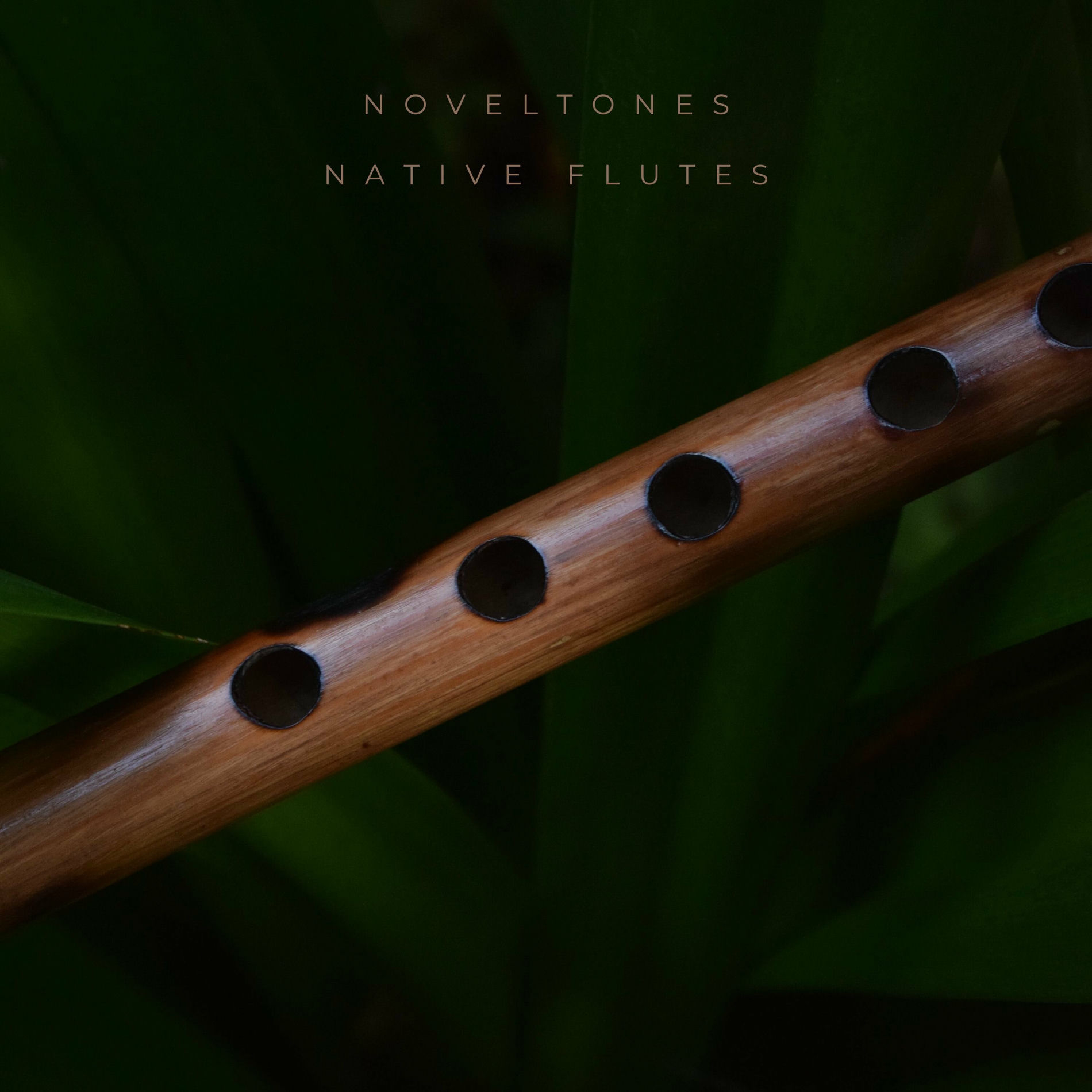 Album cover of Native Flutes