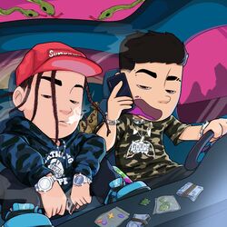 Cover of Novo