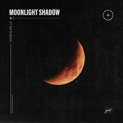 Cover of Moonlight Shadow