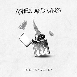 Cover of Ashes And Wings