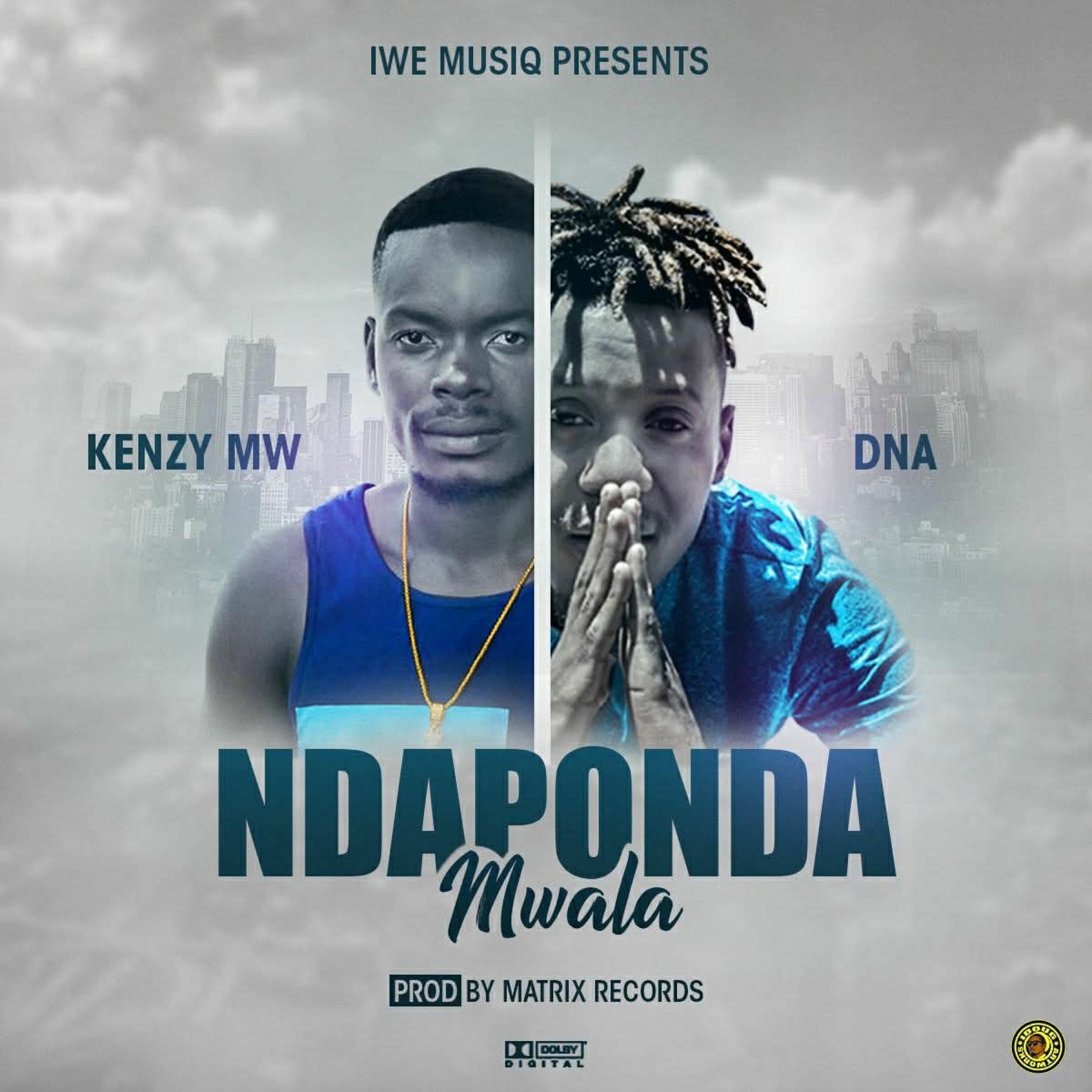 Album cover of Ndaponda Mwala (feat. DNA)
