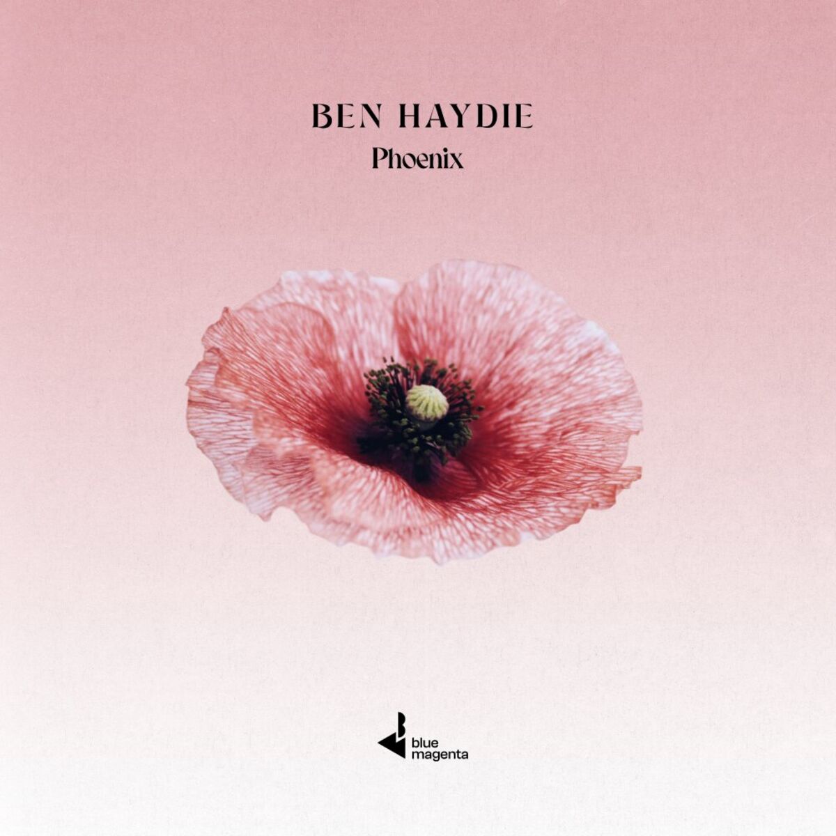 Album cover of Phoenix