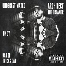 Cover of Underestimated