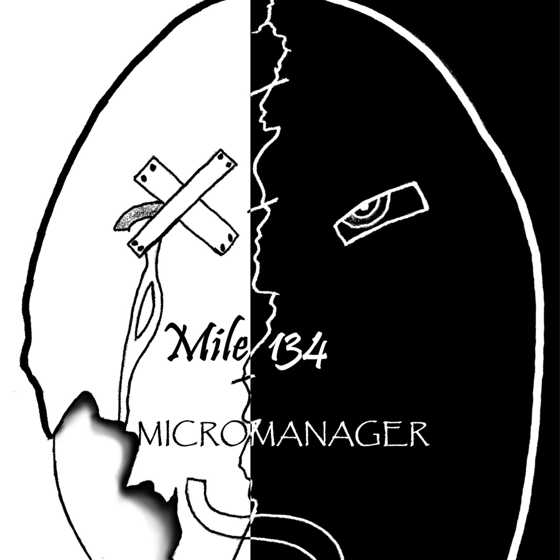 Album picture of Micromanager