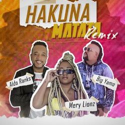 Cover of Hakuna Matata (Remix)