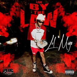 Cover of Live By The Law