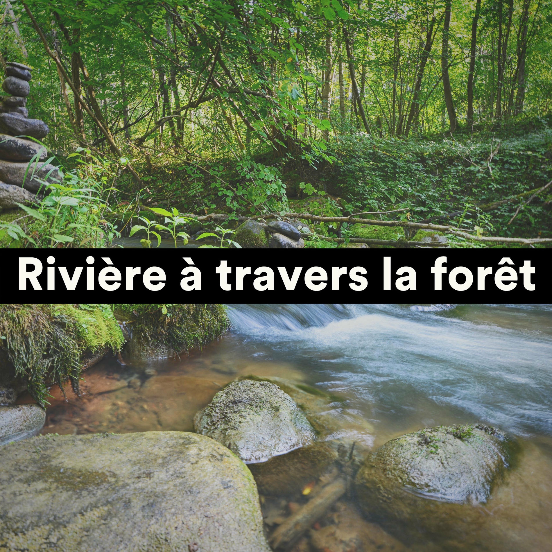 Album cover of Rivière à travers la forêt
