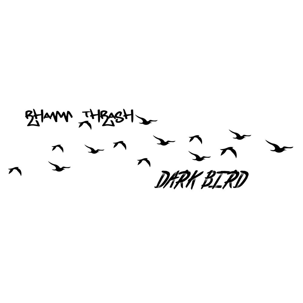 Picture of Dark Bird